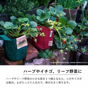 ルーツポーチSサイズ:持ち手type(直径21...の詳細画像3