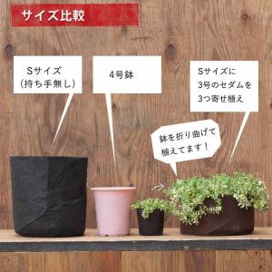 ルーツポーチSサイズ:持ち手type(直径21...の詳細画像4