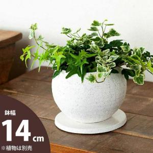 植木鉢 おしゃれ 室内 陶器 楕円形の植木鉢 Lサイズ : e-花屋さん