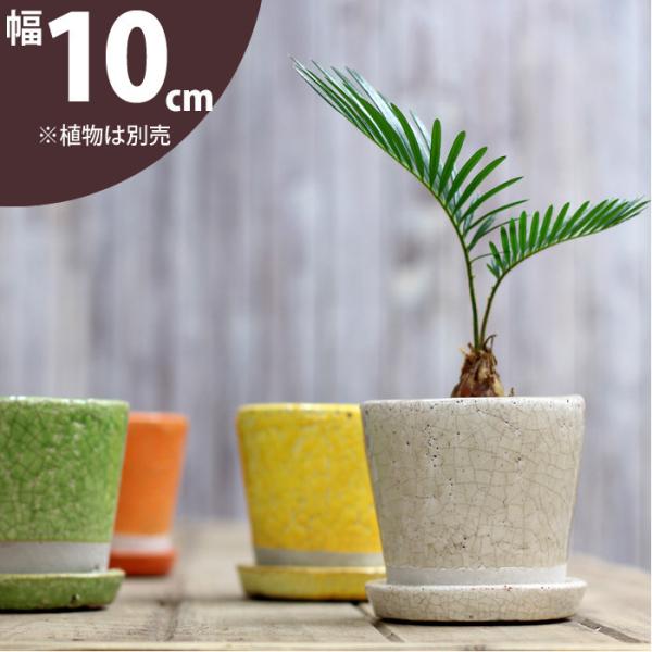 鉢 植木鉢 JUNK風 おしゃれ 室内 ツートンカラーの陶器鉢 S(10cm)