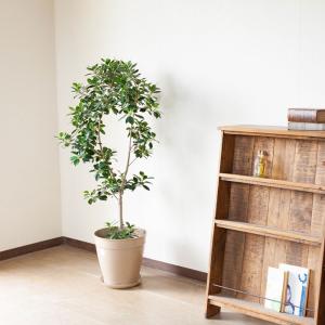 受皿 鉢皿 受け皿 おしゃれ 軽い エコ素材の...の詳細画像1