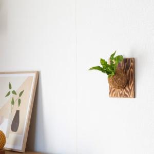観葉植物 エメラルドウェーブ 板付 室内 おし...の詳細画像3
