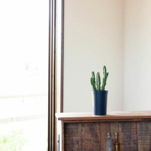 鉢 植木鉢 プラスチック 軽い セット 持って...の詳細画像1