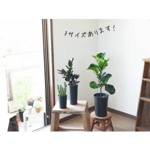 鉢 植木鉢 プラスチック 軽い セット 持って...の詳細画像5