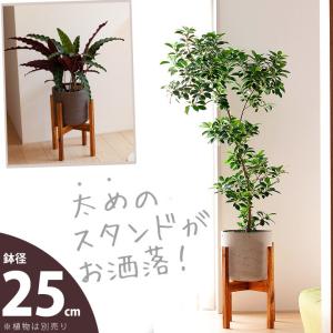 「太め」の木製スタンドで、カッコ良さUP！ファイバーセメントPOT（6〜7号サイズの植物向け）FS25【植木鉢 大型 室内 おしゃれ】※同梱不可｜e-8783