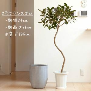 植木鉢 陶器 おしゃれ 大型 鉢カバー 店長お...の詳細画像3