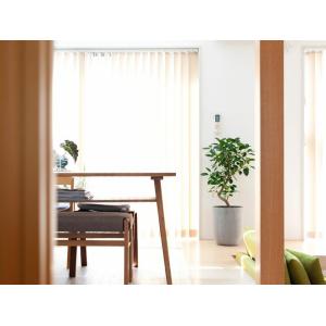 植木鉢 陶器 おしゃれ 大型 鉢カバー 店長お...の詳細画像5