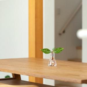 フラスコ 花瓶 ガラス インテリア 植物 一輪...の詳細画像2