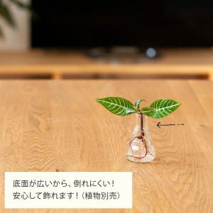 フラスコ 花瓶 ガラス インテリア 植物 一輪...の詳細画像3