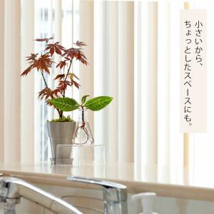 フラスコ 花瓶 ガラス インテリア 植物 一輪...の詳細画像4