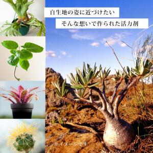 植物の根を活性化させる活力剤・ブラックウォーター