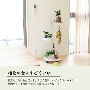 DRAW A LINE ドローアライン つっぱ...の詳細画像3