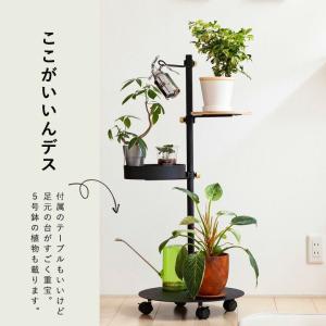 DRAW A LINE ドローアライン つっぱ...の詳細画像4