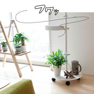 観葉植物 おしゃれ シダ フレボディウム オパ...の詳細画像5