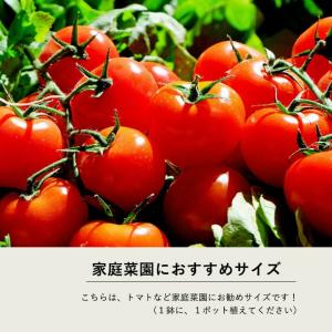 ルーツポーチ 背が高いロングtype(直径29...の詳細画像3