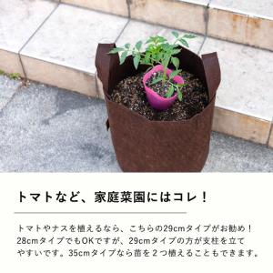 ルーツポーチ 背が高いロングtype(直径29...の詳細画像4