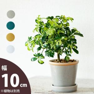 植木鉢 陶器鉢 おしゃれ 室内 カラフル“4色から選べる、植物に合せやすい植木鉢SS（10ｃｍ）”｜e-8783