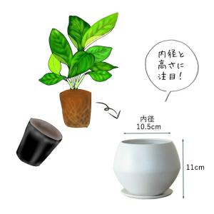 鉢 植木鉢 おしゃれ 室内 マット ホワイト ...の詳細画像2