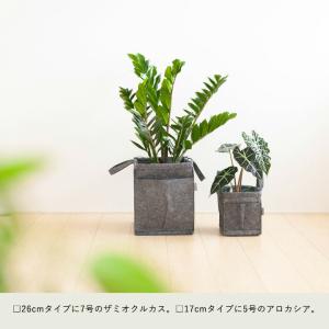 不織布ポット 鉢カバー 布製 おしゃれ かわい...の詳細画像5