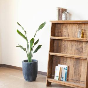 鉢 植木鉢 植え替え 鉢カバー インナーポット...の詳細画像5