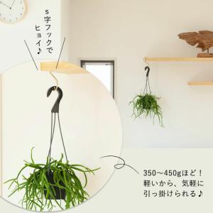 観葉植物 種類 室内 おしゃれ 吊り鉢 リプサ...の詳細画像2