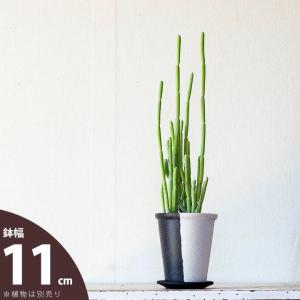 鉢 植木鉢 おしゃれ モダン 植え替え インテリア 白黒モダン植木鉢（たて半分タイプM）（11.5ｃｍ）