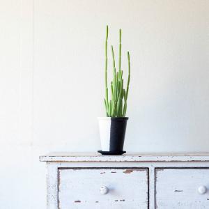鉢 植木鉢 おしゃれ モダン 植え替え インテ...の詳細画像5