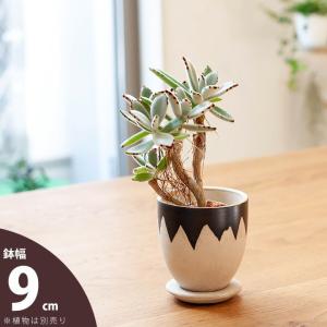植木鉢 おしゃれ 室内 陶器 楕円形の植木鉢 Lサイズ : e-花屋さん