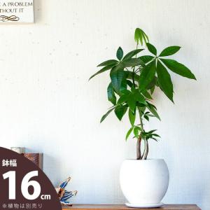 鉢 植木鉢 陶器 おしゃれ 室内 鉢カバー 植え...の商品画像