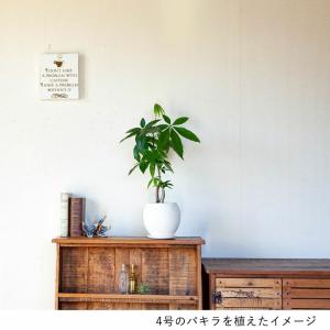 鉢 植木鉢 陶器 おしゃれ 室内 鉢カバー 植...の詳細画像1