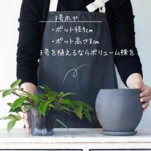 鉢 植木鉢 陶器 おしゃれ 室内 鉢カバー 植...の詳細画像3