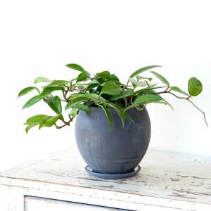 鉢 植木鉢 陶器 おしゃれ 室内 鉢カバー 植...の詳細画像4