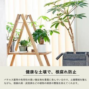 湖の恵・室内向けオーガニック肥料(微粒350g...の詳細画像4