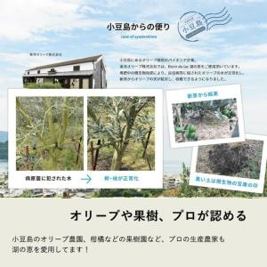 湖の恵・室内向けオーガニック肥料(微粒350g...の詳細画像5