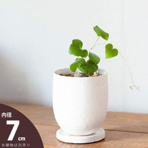 水生植物用 ポリポット（ビニールポット） 標準4号(12cm)(穴無し) 20