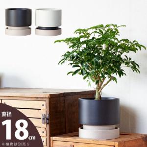 鉢 植木鉢 陶器 おしゃれ 室内 モダン 個性的...の商品画像
