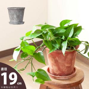 植木鉢 おしゃれ 陶器 受皿付き 使い古したような。レトロな素焼きtaste陶器鉢(19cm）