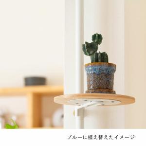 鉢 植木鉢 陶器 おしゃれ 小さい植物を引き立...の詳細画像2