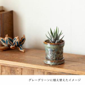 鉢 植木鉢 陶器 おしゃれ 小さい植物を引き立...の詳細画像3