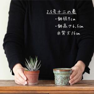 鉢 植木鉢 陶器 おしゃれ 小さい植物を引き立...の詳細画像4