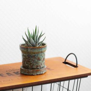 鉢 植木鉢 陶器 おしゃれ 小さい植物を引き立...の詳細画像5