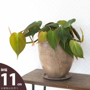 鉢 植木鉢 陶器 おしゃれ 室内 鉢カバー カラ...の商品画像