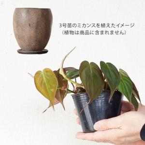 鉢 植木鉢 陶器 おしゃれ 室内 鉢カバー カ...の詳細画像2