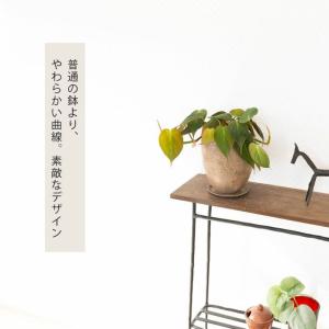 鉢 植木鉢 陶器 おしゃれ 室内 鉢カバー カ...の詳細画像3
