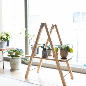 鉢 植木鉢 陶器 おしゃれ 室内 鉢カバー カ...の詳細画像4