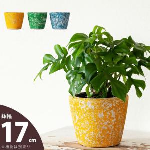 鉢 植木鉢 テラコッタ 室内 おしゃれ クレヨンでシャカシャカしたようなテラコッタ（17cm)