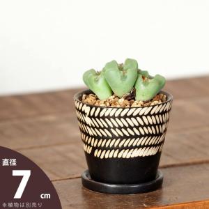 鉢 植木鉢 陶器 室内 おしゃれ セラミック 小さい多肉に！黒モダンセラミックPOT（7.5ｃｍ）