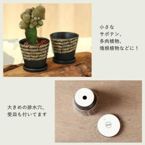 鉢 植木鉢 陶器 室内 おしゃれ セラミック ...の詳細画像2