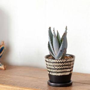 鉢 植木鉢 陶器 室内 おしゃれ セラミック ...の詳細画像5