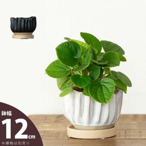 鉢 植木鉢 陶器鉢おしゃれ 室内 鉢カバー 背が低めの、デコデコ陶器鉢（12ｍ）